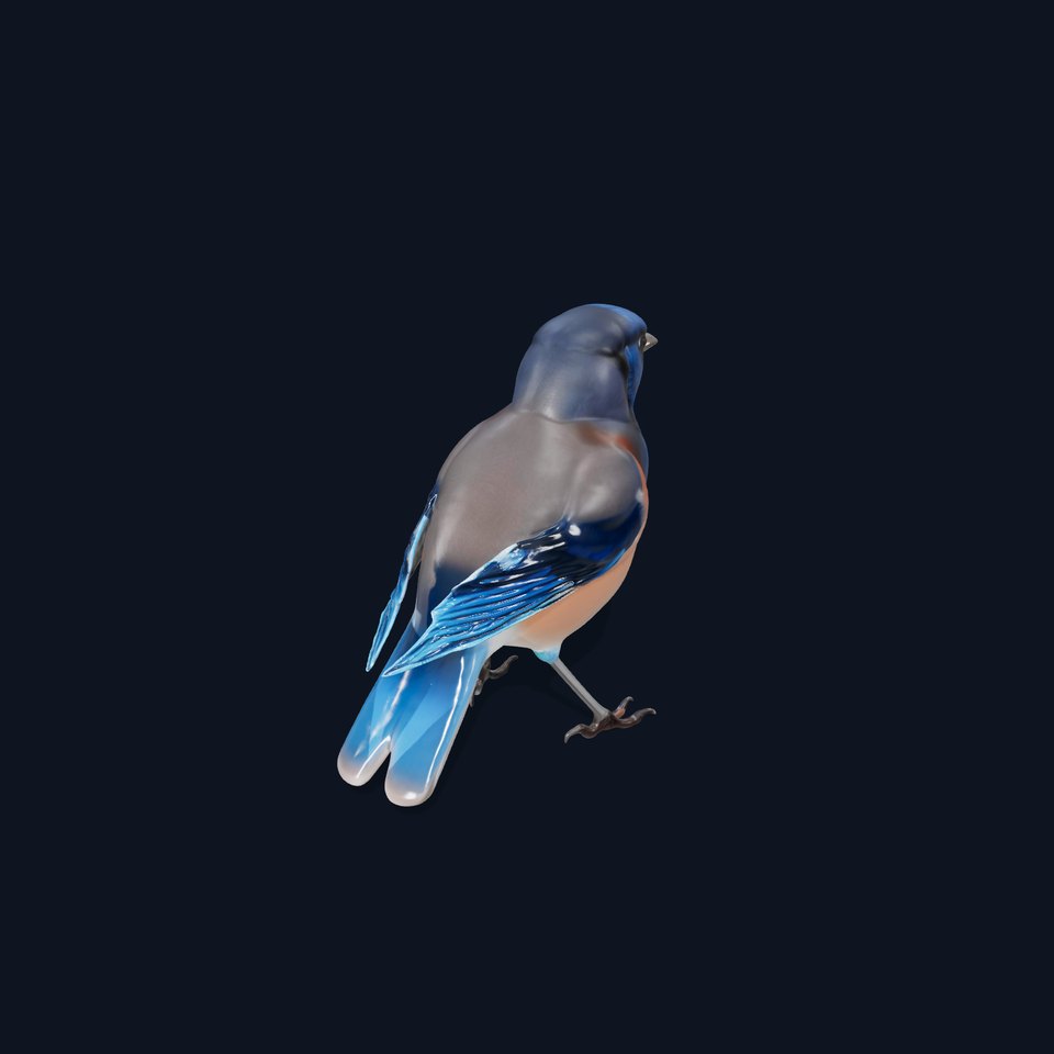 Azure Blue Jay model pack